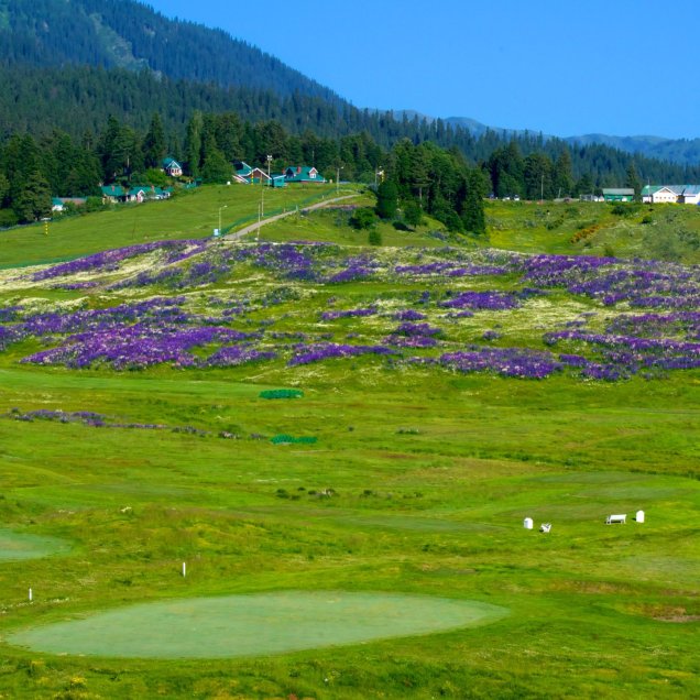 Gulmarg