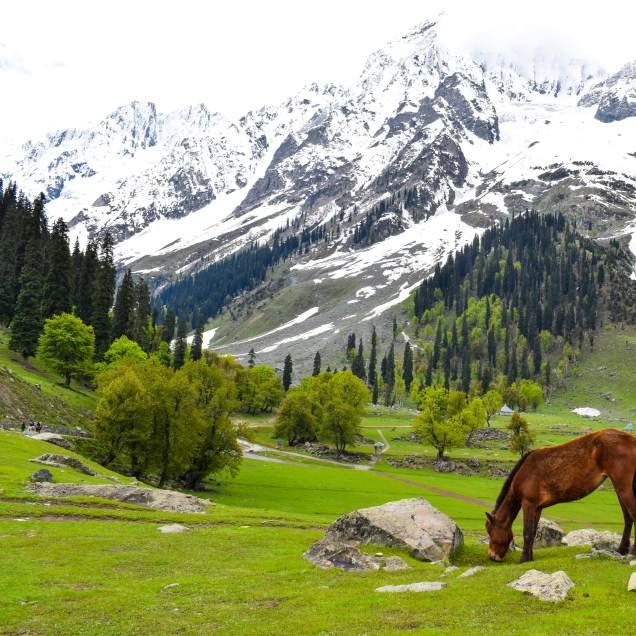 Sonmarg